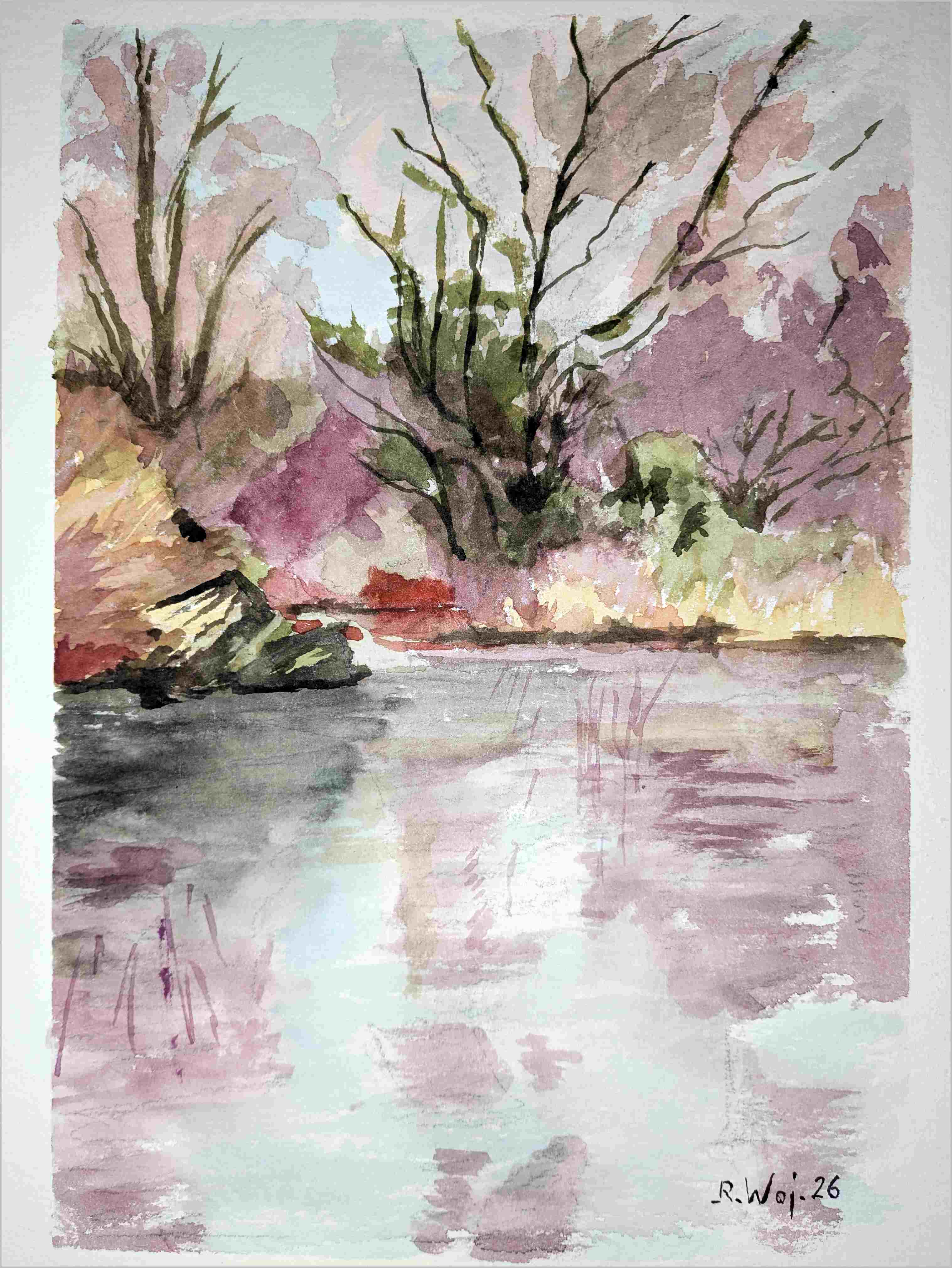   Teich im Moor